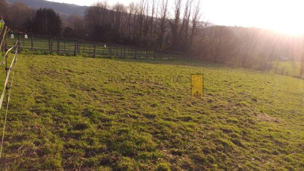 inmobiliaria compostela mg
