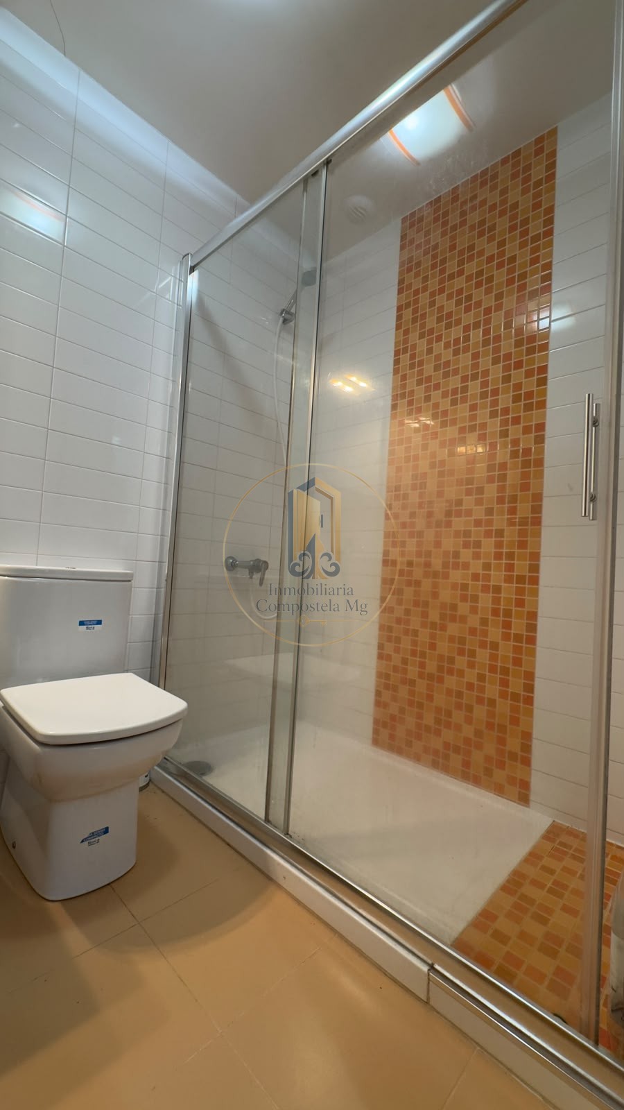 INMOBILIARIA COMPOSTELA MG (8)