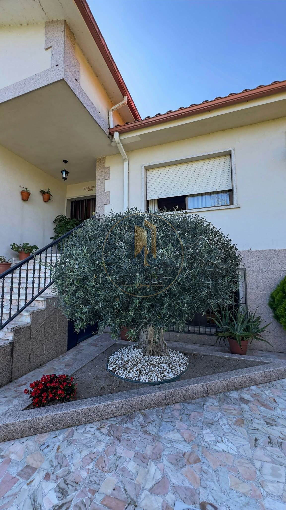 inmobiliaria compostela mg (2)