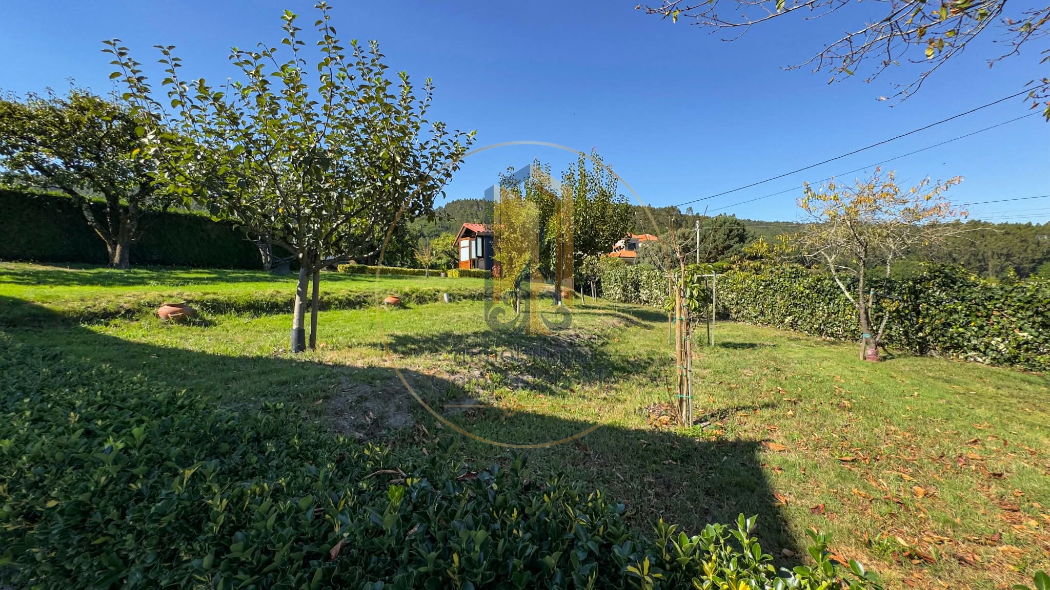 inmobiliaria compostela mg (26)